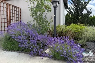 10517 62nd St E, Puyallup, WA 98372 - Photo 3