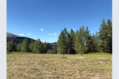 88 Little Bear Road, Republic, WA 99166 - Photo 25