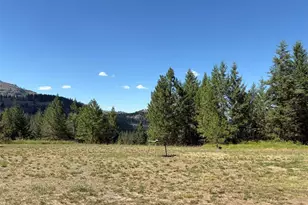 88 Little Bear Rd, Republic, WA 99166 - Photo 25