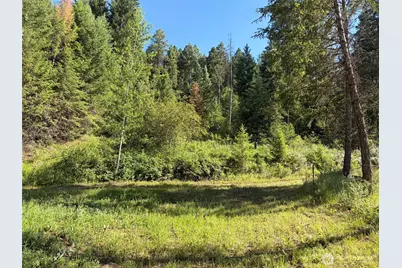 88 Little Bear Road, Republic, WA 99166 - Photo 35