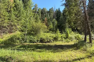 88 Little Bear Rd, Republic, WA 99166 - Photo 35