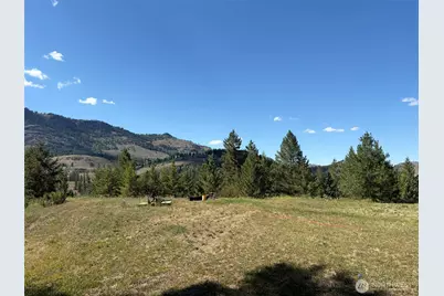 88 Little Bear Road, Republic, WA 99166 - Photo 21