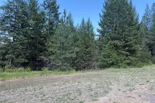 88 Little Bear Rd, Republic, WA 99166 - Photo 27