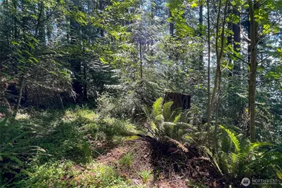 3 NW Sulphur Springs Lot 3, Bremerton, WA 98310 - Photo 23