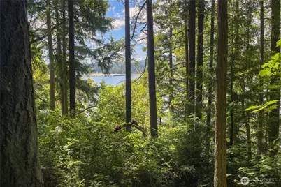 3 NW Sulphur Springs Lot 3, Bremerton, WA 98310 - Photo 3