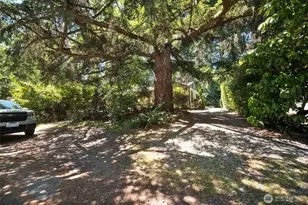 13753 Stone Ave N, Seattle, WA 98133 - Photo 3