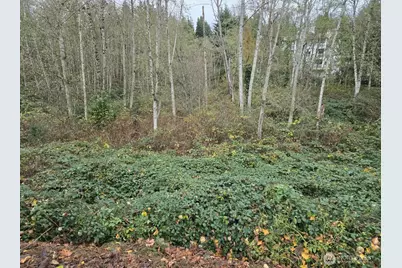 8201 5th Avenue W, Everett, WA 98204 - Photo 1