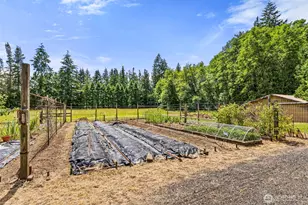 1677 N Fork Rd, Chehalis, WA 98532 - Photo 37