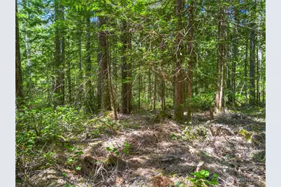 421 N Mt Jupiter Drive, Hoodsport, WA 98548 - Photo 13