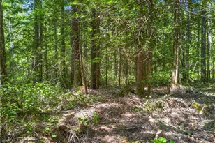421 N Mt Jupiter Dr, Hoodsport, WA 98548 - Photo 13