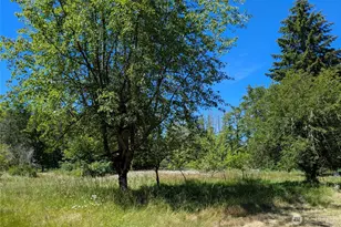 1082 Taylor Cutoff Rd, Sequim, WA 98382 - Photo 25