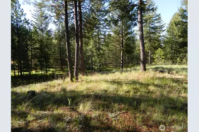 151 Indian Mary Loop Road, Tonasket, WA 98855 - Photo 15