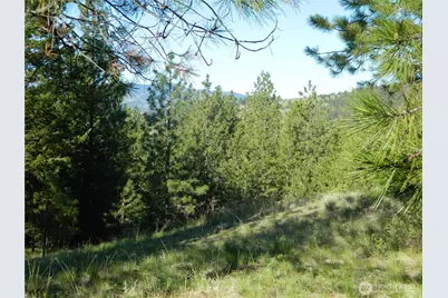 151 Indian Mary Loop Road, Tonasket, WA 98855 - Photo 13