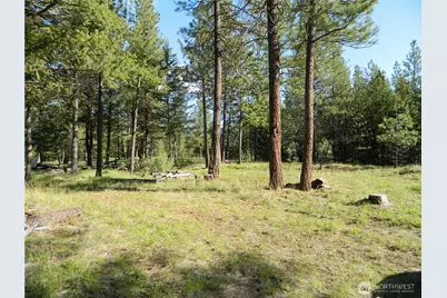 151 Indian Mary Loop Road, Tonasket, WA 98855 - Photo 17