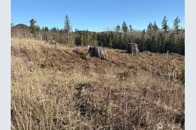 0 B-1000 Road, Sequim, WA 98382 - Photo 11
