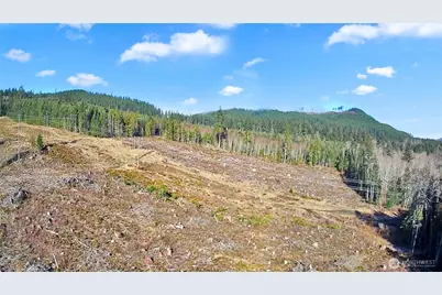 0 B-1000 Road, Sequim, WA 98382 - Photo 3