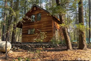 11 Susan Rd, Mazama, WA 98834 - Photo 5