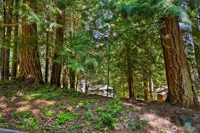 30 Canyon Court, Bellingham, WA 98229 - Photo 7