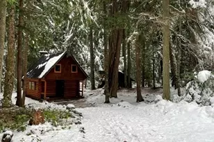 162 Silver Creek - Usfs, Greenwater, WA 98022 - Photo 3
