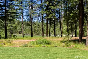 65 Mazama Pines Ln, Mazama, WA 98833 - Photo 35