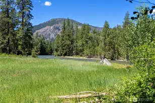 65 Mazama Pines Ln, Mazama, WA 98833 - Photo 9