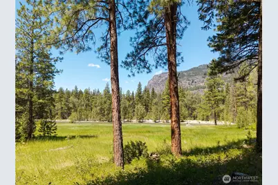 65 Mazama Pines Lane, Mazama, WA 98833 - Photo 7
