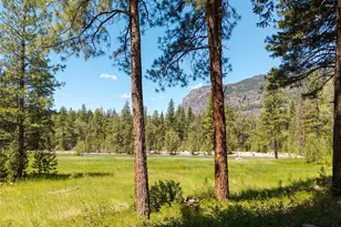 65 Mazama Pines Ln, Mazama, WA 98833 - Photo 7