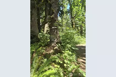 31121 403rd Drive NE, Arlington, WA 98223 - Photo 1