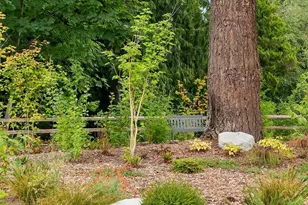 2218 NE 125th St, Seattle, WA 98125 - Photo 29