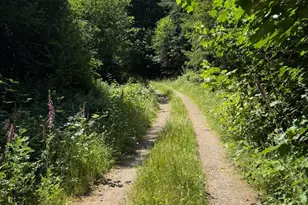 434 W Bulb Farm Rd, Shelton, WA 98584 - Photo 1