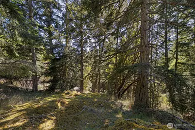 668 Carefree Lane, Friday Harbor, WA 98250 - Photo 27