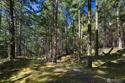 668 Carefree Lane, Friday Harbor, WA 98250 - Photo 23