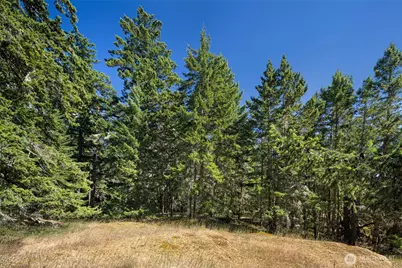 668 Carefree Lane, Friday Harbor, WA 98250 - Photo 29