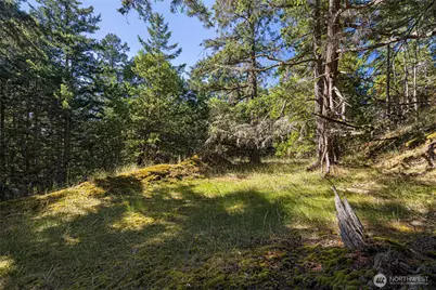 668 Carefree Lane, Friday Harbor, WA 98250 - Photo 25