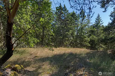 668 Carefree Lane, Friday Harbor, WA 98250 - Photo 31