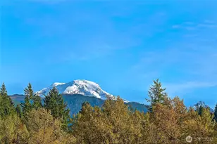 14001 Welcome Rd, Glacier, WA 98244 - Photo 39
