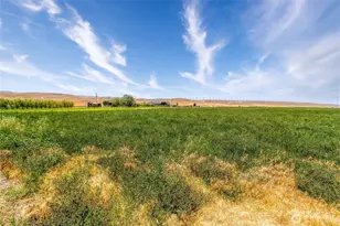 1247 Watson Loop, Touchet, WA 99360 - Photo 39