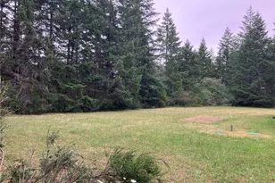 20 W Bridlewood Ct, Shelton, WA 98584 - Photo 29