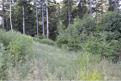 16100 40th Place, Bellingham, WA 98229 - Photo 17