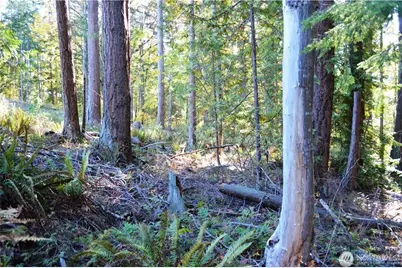 16100 40th Place, Bellingham, WA 98229 - Photo 11