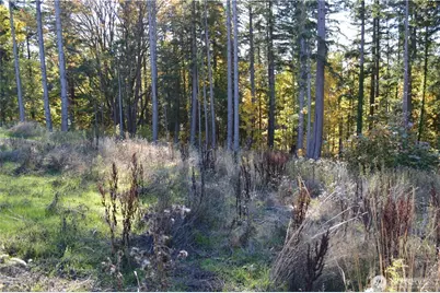 16100 40th Place, Bellingham, WA 98229 - Photo 9