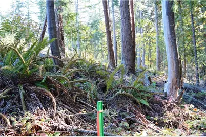 16100 40th Place, Bellingham, WA 98229 - Photo 13