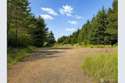 1195 215 Th Lane, Ocean Park, WA 98640 - Photo 15