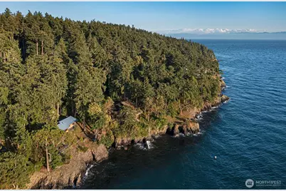 449 Madrona Drive, Friday Harbor, WA 98250 - Photo 11