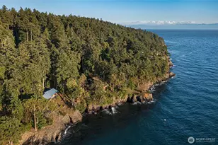 449 Madrona Dr, Friday Harbor, WA 98250 - Photo 11