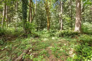 22288 NE Woodinville Duval Rd, Woodinville, WA 98077 - Photo 37