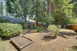 662 156th Ave NE, Bellevue, WA 98007 - Photo 27