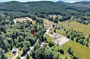 2461 W Deegan Road West, Shelton, WA 98584 - Photo 25