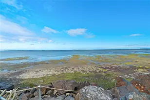 16 Harrison St, Bay Center, WA 98527 - Photo 37