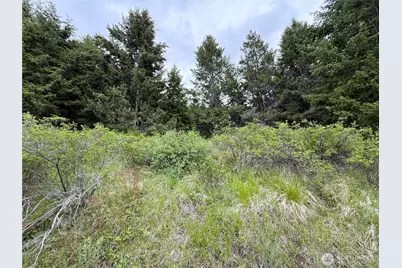 0 Pontiac Ridge Road, Oroville, WA 98844 - Photo 11